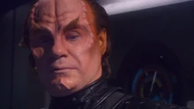 Phlox mirror.jpg