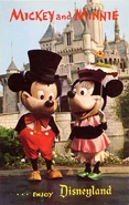 Flbigheadmickey