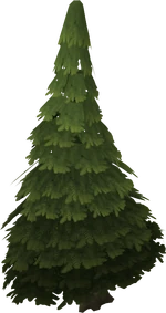Evergreen tree