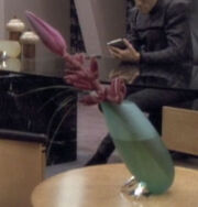 Romulan flower, office