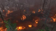 HumboldtConflagration