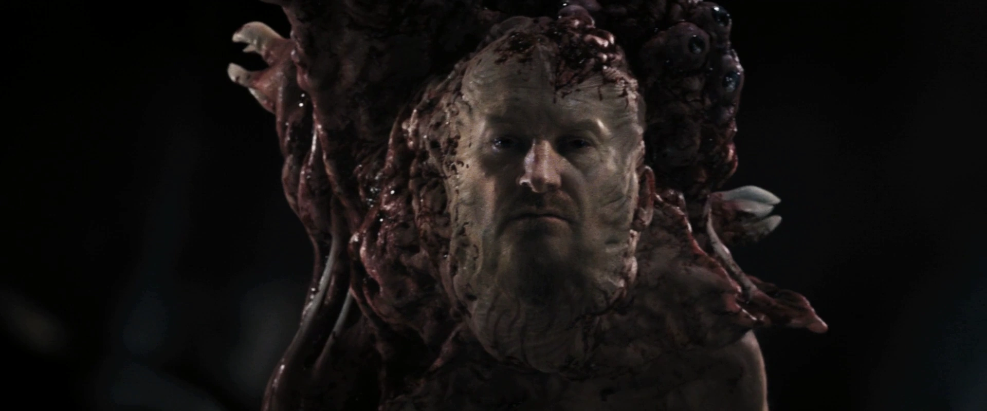 http://images2.wikia.nocookie.net/__cb20111230070056/thething/images/9/9b/Sander_Thing.png