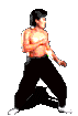 MK1-Liu Kang2