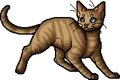 Heathertail.apprentice
