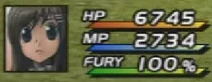 Fury Gauge