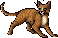 Brackenfur.apprentice.alt