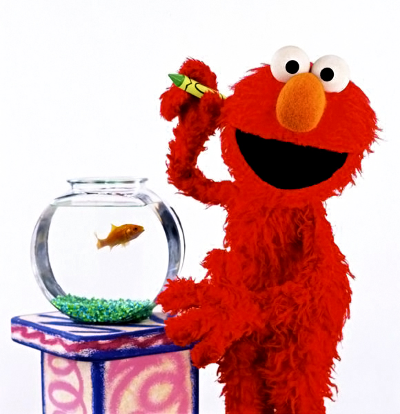 Elmo%26GoldfishDorothy.jpg