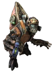 Grunt