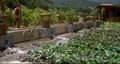 Ba'ku garden.jpg