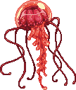Red Sideraes Adult.gif