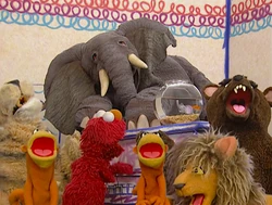 WILD ANIMALS SONG