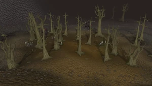 Wilderness old
