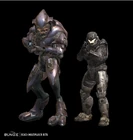 Size comparison