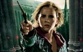 Harry-Potter-and-The-Deathly-Hallows-Part-2-Wallpapers-5.jpg