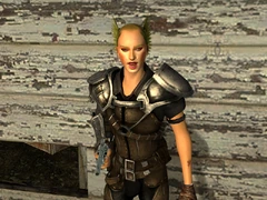 Viper leader picture