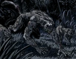 Racja stanu werecat