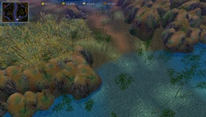 Bamboo forest.png