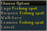 Harpoon options