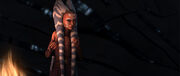 Ahsoka-Zukunft (1)