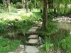 Giardino Botanico - Fondazione Andre Heller - Gardone Riviera - pond - stepping stones