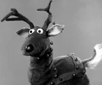 ReindeerPic