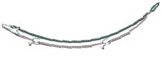 WyvernWiki