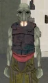 Dageerin.jpg