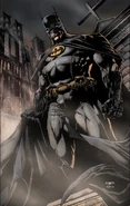 2047042-batman by fabok