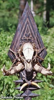Survivor: Samoa immunity idol
