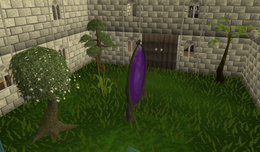 Garden trees