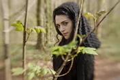 Morgana tree