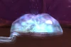 BrainofIso'rath