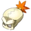 Cranium