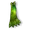 Green Capiwin
