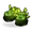 Green Piwi Claw Slippers