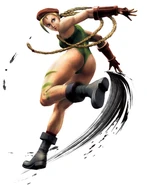 328px-SSFIVCammy