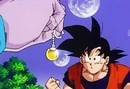 Potara-earring-2