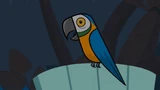 BAWKLeshawna