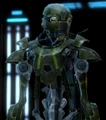 4-SEN.jpg