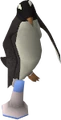 Agility Instructor.png
