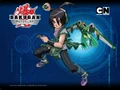 Shun small