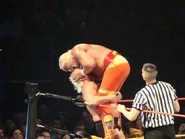 Hulkamania Night 1 12