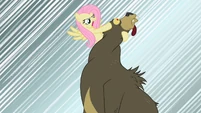 Fluttershy snaps bear's neck S02E03