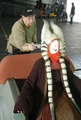 ShaakTiFinalTouches.jpg