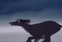 Escaping from Man