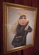 Spandexpicture