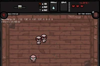Wrath of lamb