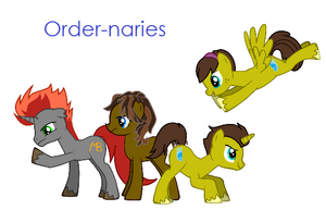 Order-naries Group