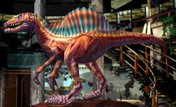 Spino jup-582