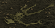 Dragonkin skeleton